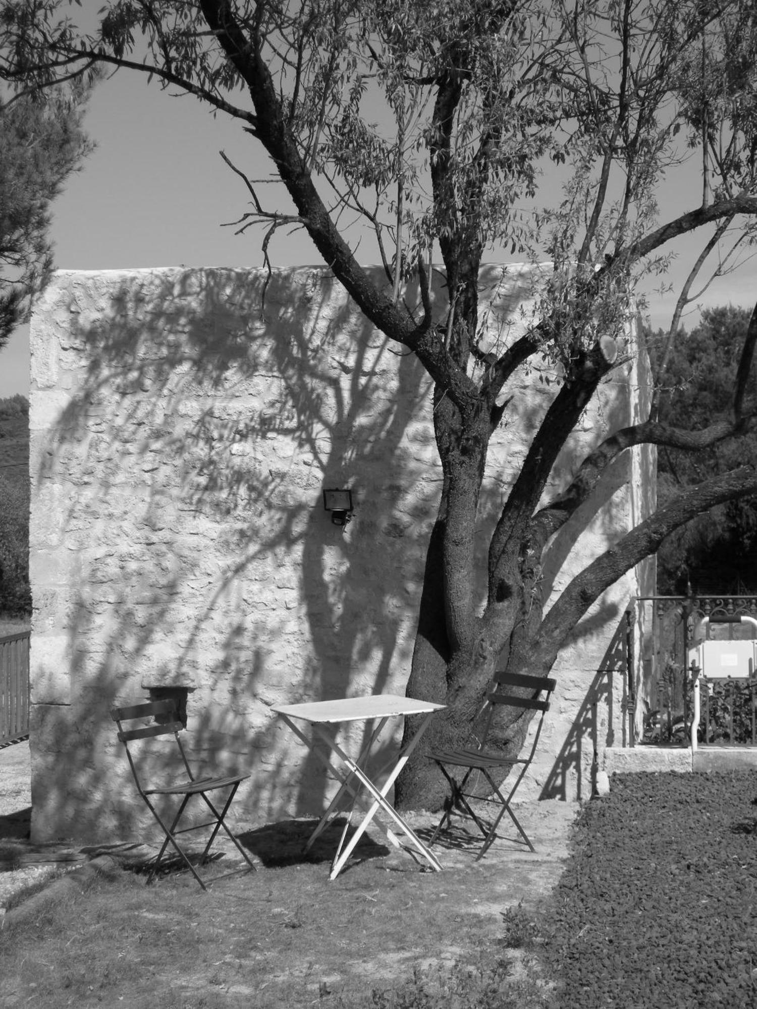 Bed and Breakfast Le Mazet De La Dame Barbentane Esterno foto